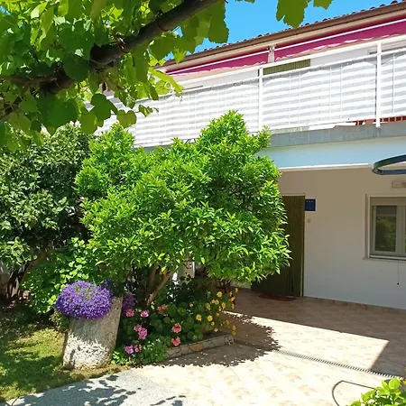 House Danica Banjole