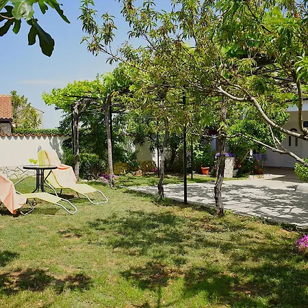 House Danica Ferienhaus Banjole